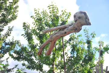 ART BRUT